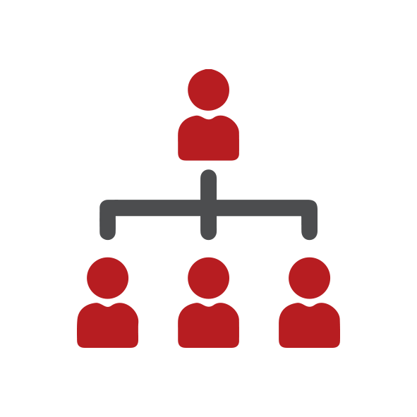 Organization consultancy