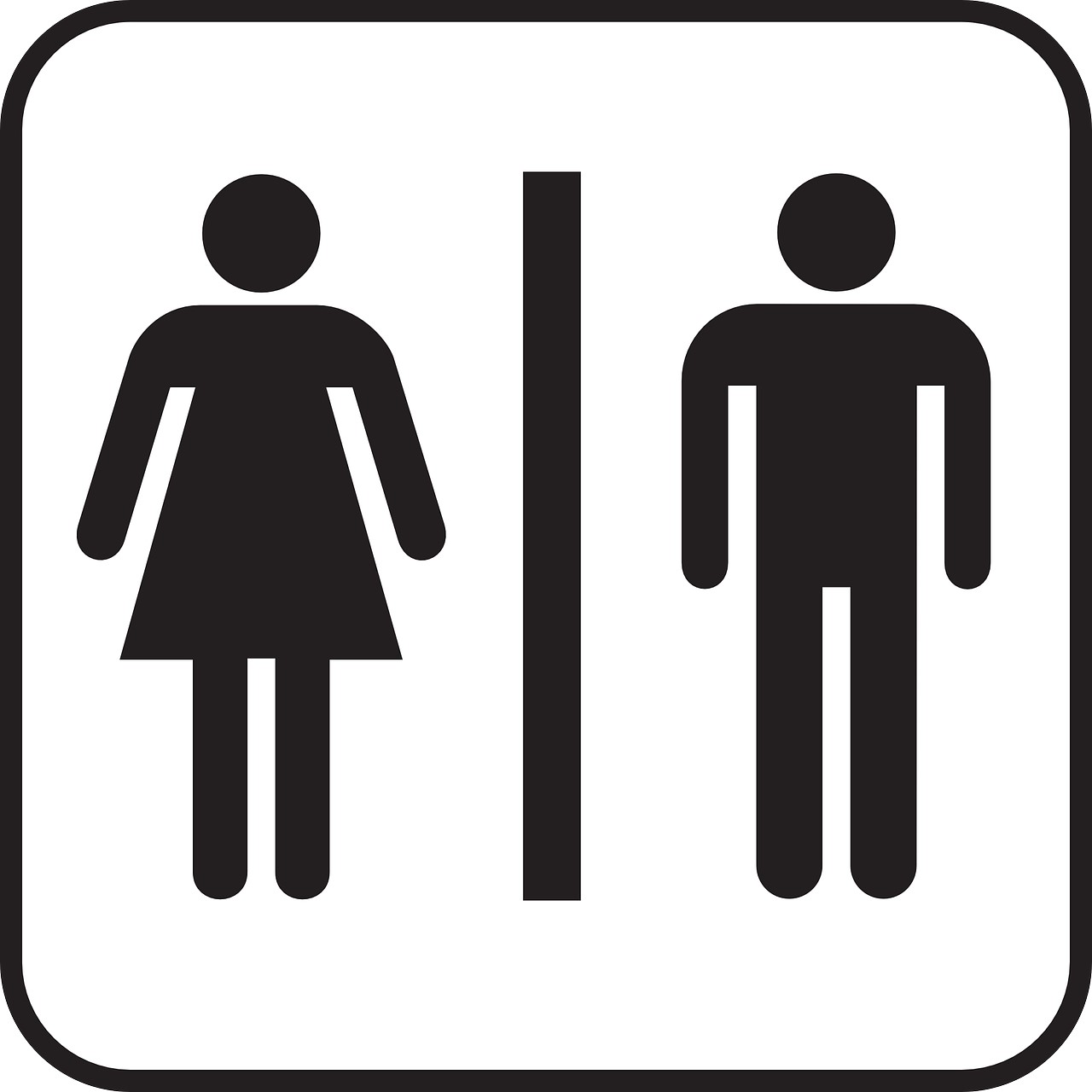 Business plan to attract finance for the development of a company focused on public toilet installation and maintenance