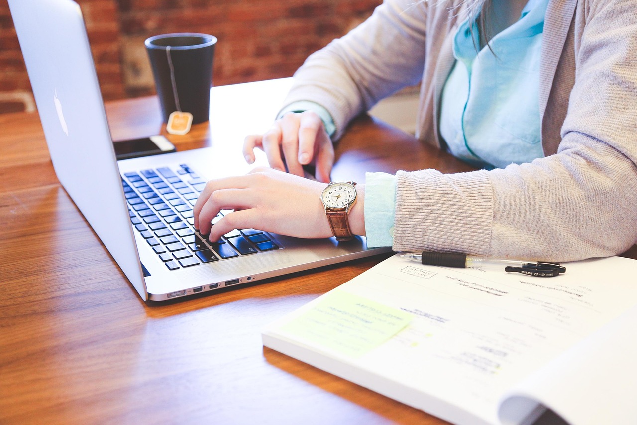 Financial modeling and preparation of information memorandum for a leading tourist education institute