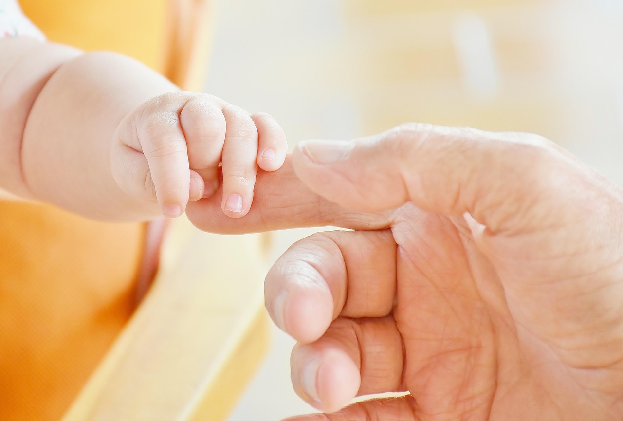 Part of an international team of consultants to develop market development strategy for an international leading brand of infant formula based on goat milk