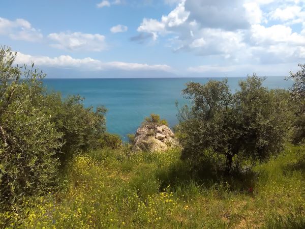 Financial pre-feasibility study for the development of a high-end boutique hotel in Messinia