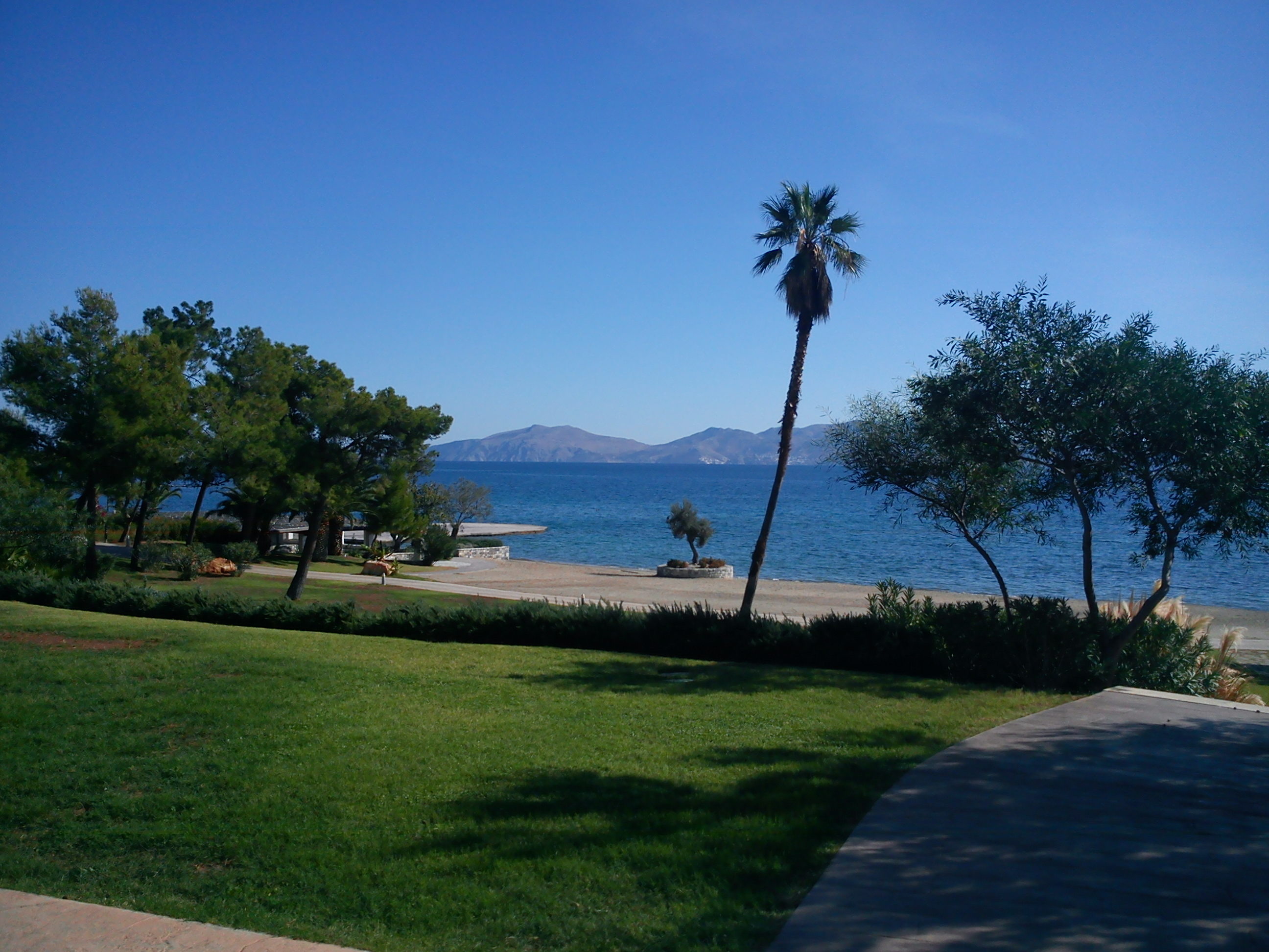 International operator selection for a 5-star resort hotel in the regional unit of Argolida