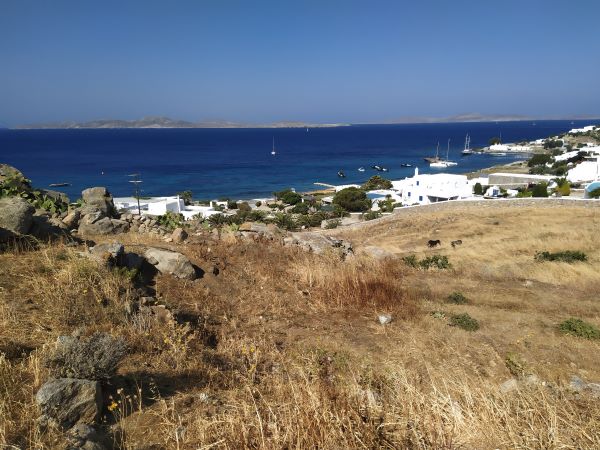 Business plan for development of a luxury hotel in Mykonos